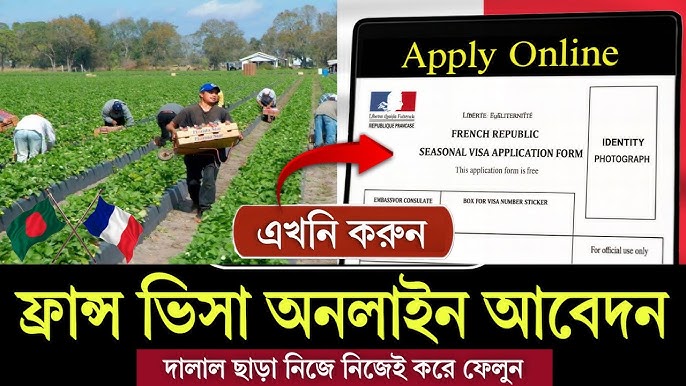 France Work Permit in 2026: Eligibility, Required Documents and Step-by-Step Application Process